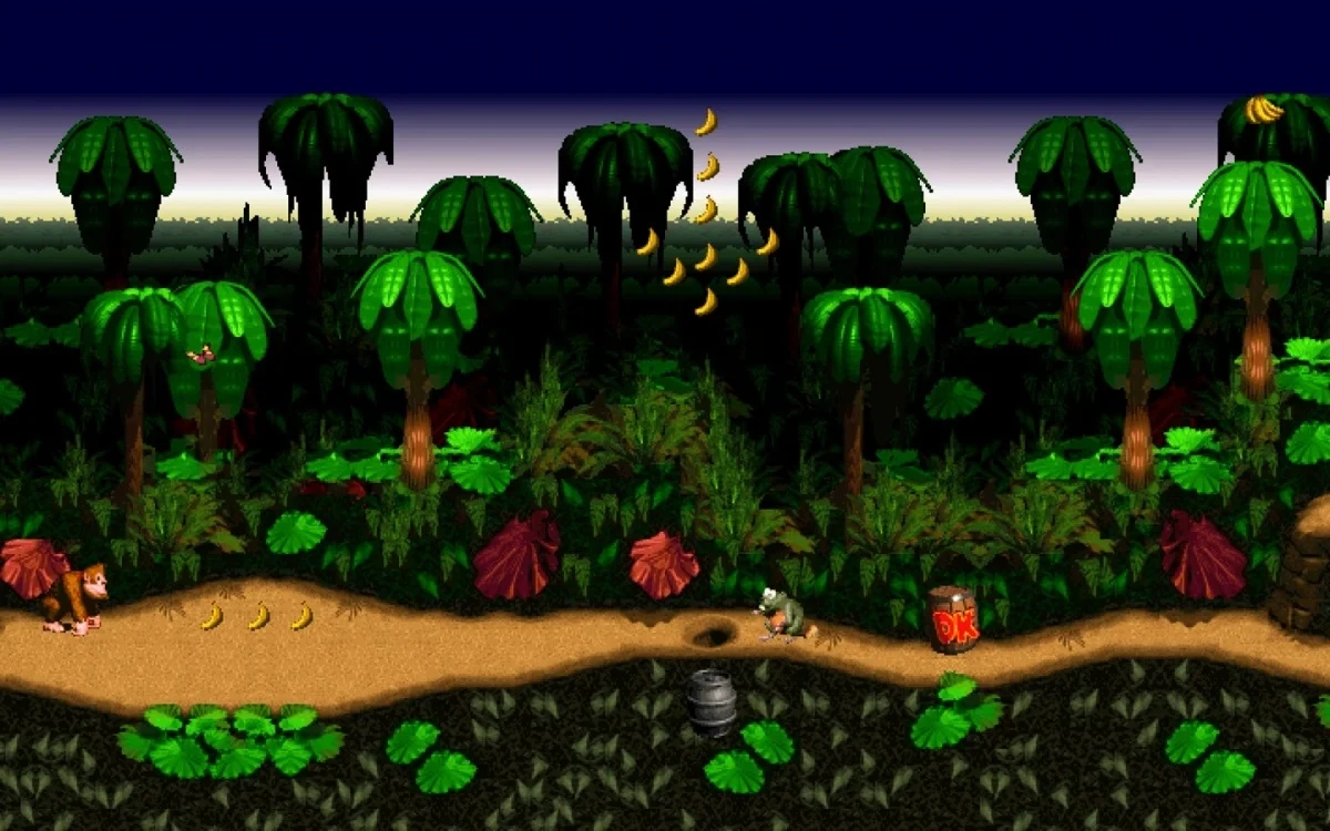 Donkey Kong Country