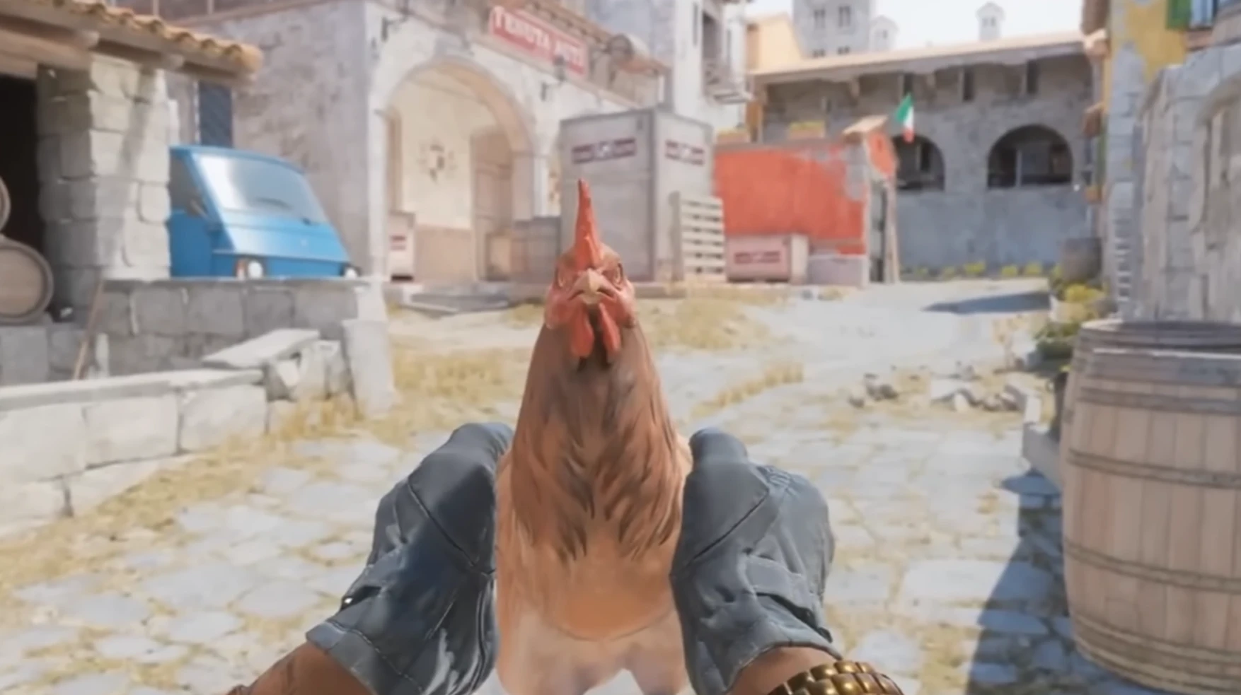 В Counter-Strike 2 появятся курицы-питомцы со скинами 